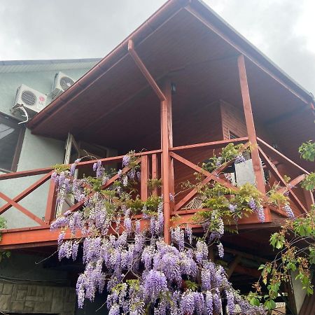 Bed and Breakfast Fkoka Berehowe Exterior foto